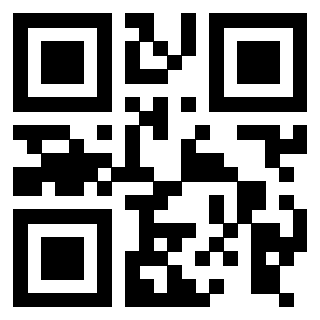 Il Qr Code di 3916012356