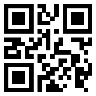 3916012409 Qr Code associato