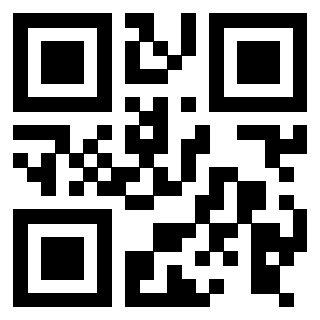 Il Qr Code di 3916012439