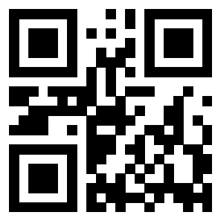 Il Qr Code di 3916012466