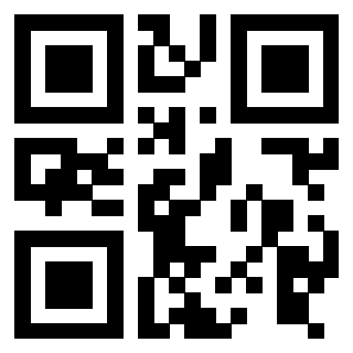 Il Qr Code di 3916012472