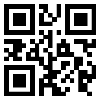 Il Qr Code di 3916012538