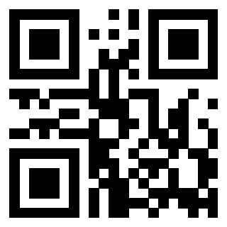 Il Qr Code di 3916012555