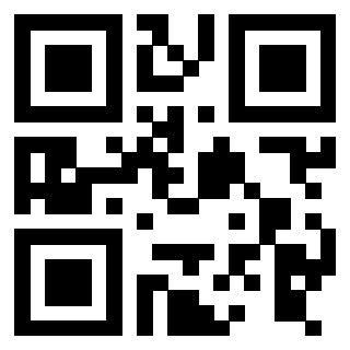 Il Qr Code di 3916012573