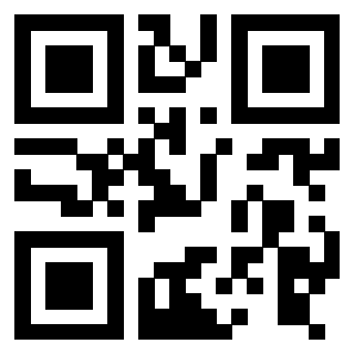 3916012653 Qr Code associato