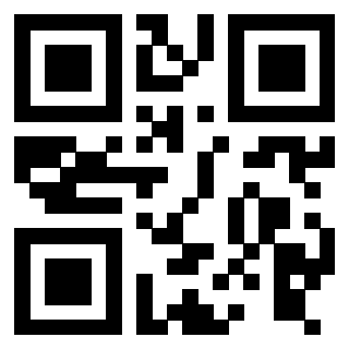 3916012656 Qr Code associato