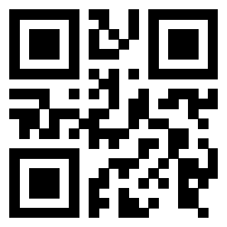 Il Qr Code di 3916012738