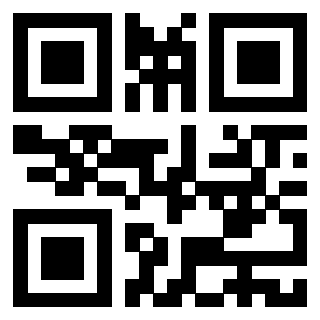 Il Qr Code di 3916012888