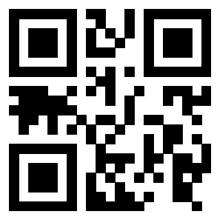 Il Qr Code di 3916012917
