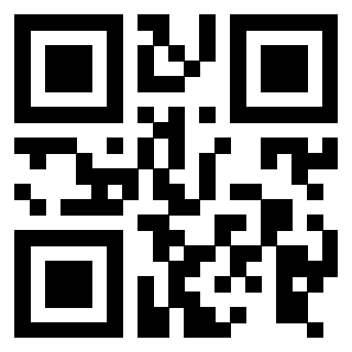 3916012919 - Immagine del Qr Code associato