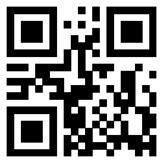 QrCode di 3916012924