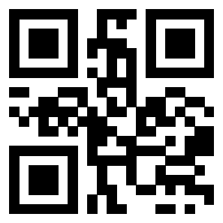 Il Qr Code di 3916012957