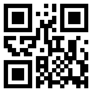 Il Qr Code di 3916012980