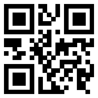 Il Qr Code di 3916017869