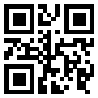 Il Qr Code di 3916017897