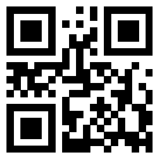 Il Qr Code di 3916018012