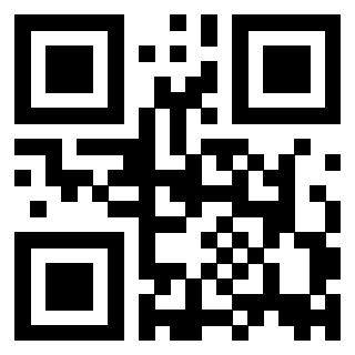 3916018040 QrCode associato