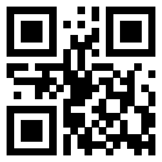 Il Qr Code di 3916018117
