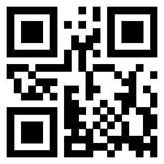 3916018160 QrCode associato