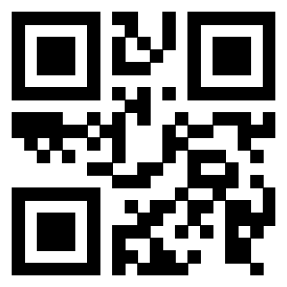 Il Qr Code di 3916018251