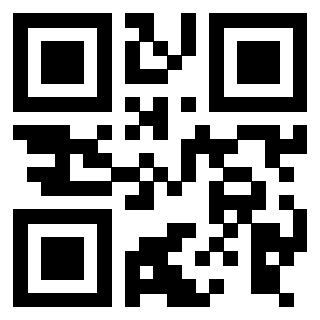 Il Qr Code di 3916018296