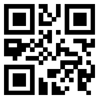 Il Qr Code di 3916018379