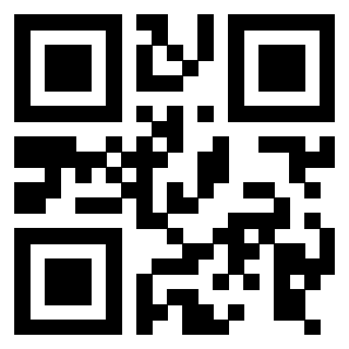 Il Qr Code di 3916018465