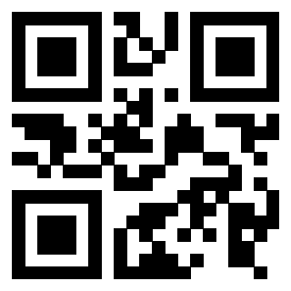 3916018595 - Immagine del QrCode associato