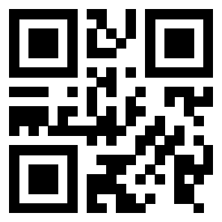 Il Qr Code di 3916029968
