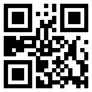 Il Qr Code di 3916030012