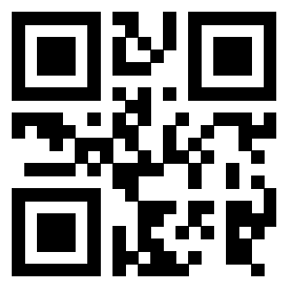 Il QrCode di 3916030013