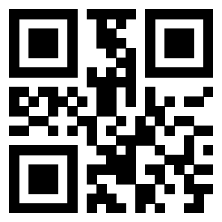 Il Qr Code di 3916030023