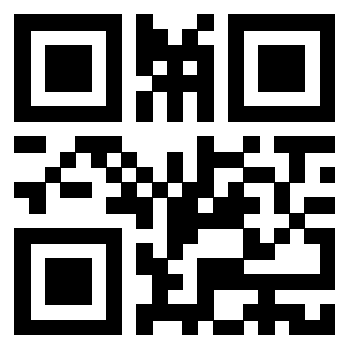 Il Qr Code di 3916030040