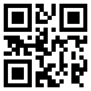 Il Qr Code di 3916030297