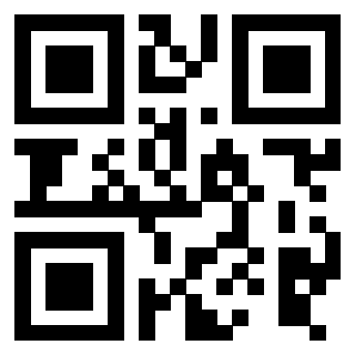 3916030504 QrCode associato