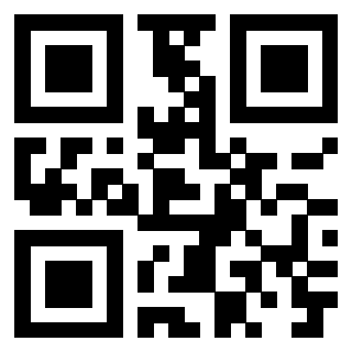 Il Qr Code di 3916030511