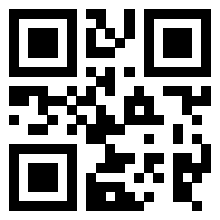 3916030533 - Immagine del QrCode