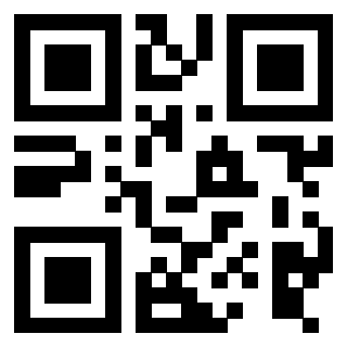 3916030538 QrCode associato