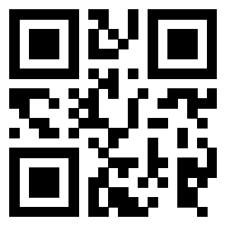 Il Qr Code di 3916030687