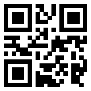 3916030869 Qr Code associato