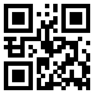 Il Qr Code di 3916085819