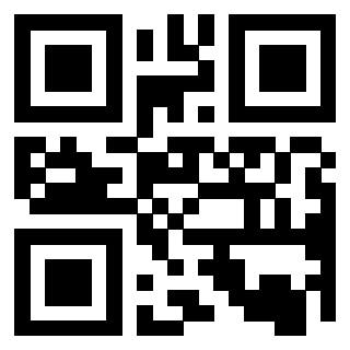 Il Qr Code di 3916086096