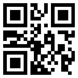 Il Qr Code di 3916086541