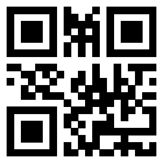 Il Qr Code di 3916086593