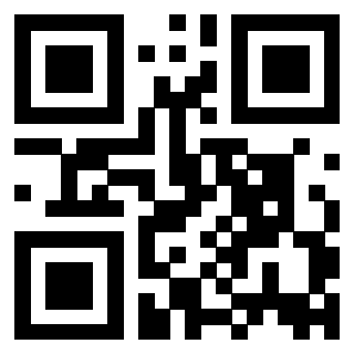 Il Qr Code di 3916086601