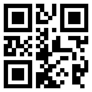 Il Qr Code di 3916090480
