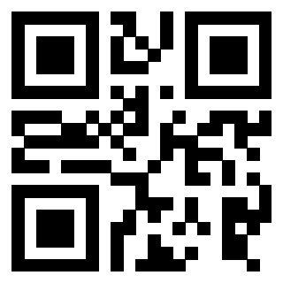 3916090613 - Immagine del Qr Code associato