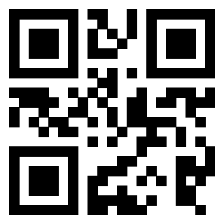 Il Qr Code di 3916090728