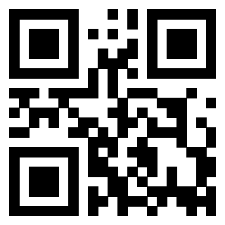 QrCode di 3916090733