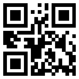 3916091013 - Immagine del QrCode associato